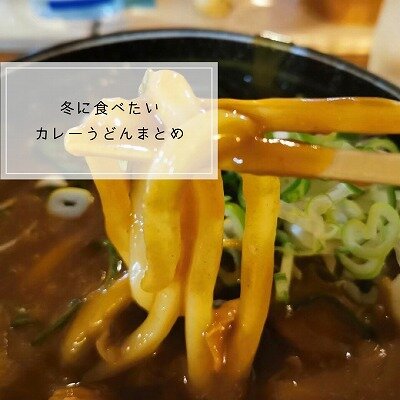 カレーうどんTOP.jpg