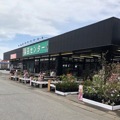 富山でガーデニング用苗や観葉植物の購入におすすめの7店 花屋 園芸店まとめ グロス マガジン 富山の仕事探し 求人 人材派遣 株式会社グロス 派遣 正社員 契約社員 アルバイト パート